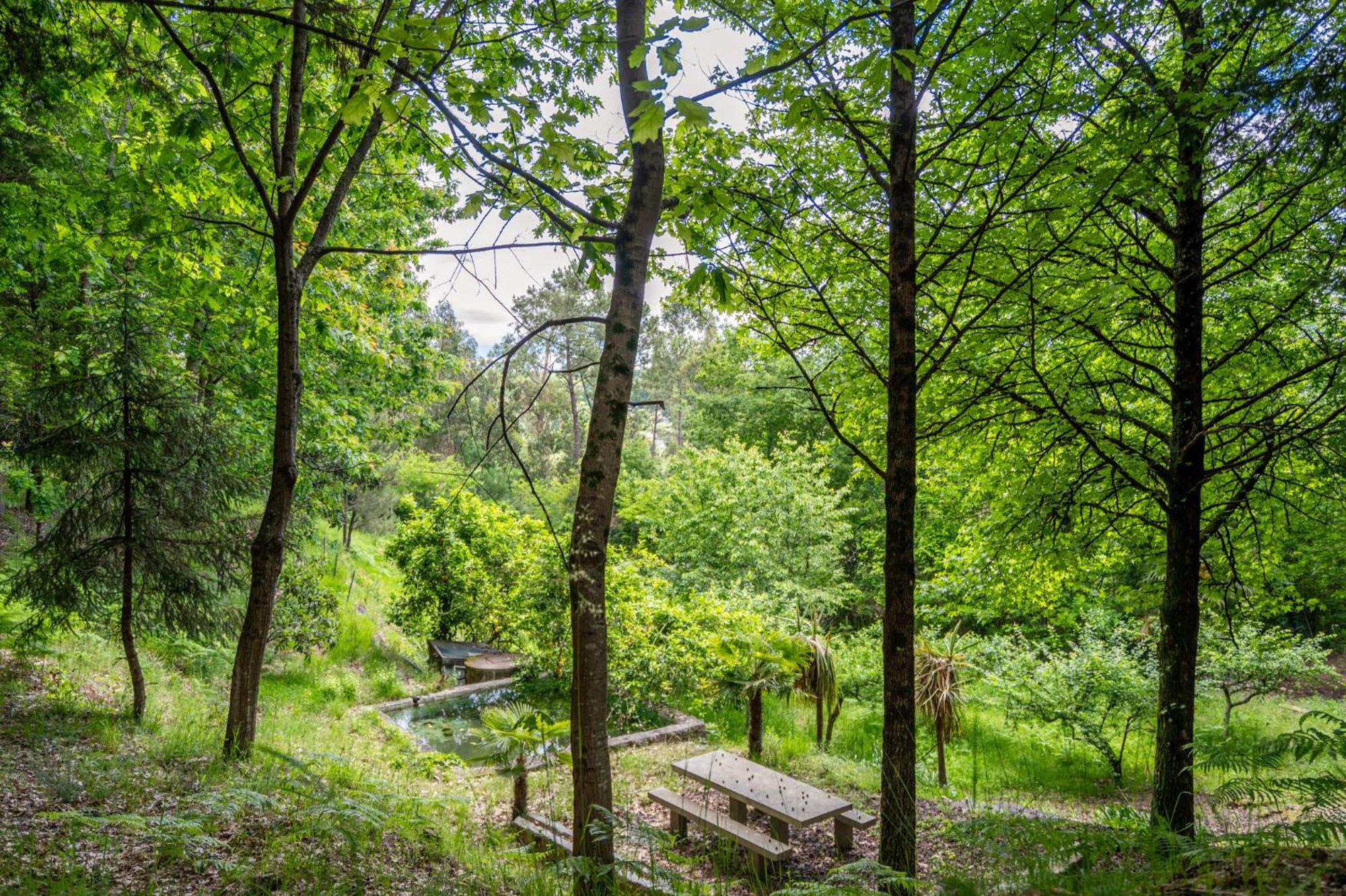 Villas Prendal Eco Living - Minho'S Guest 吉马良斯 外观 照片